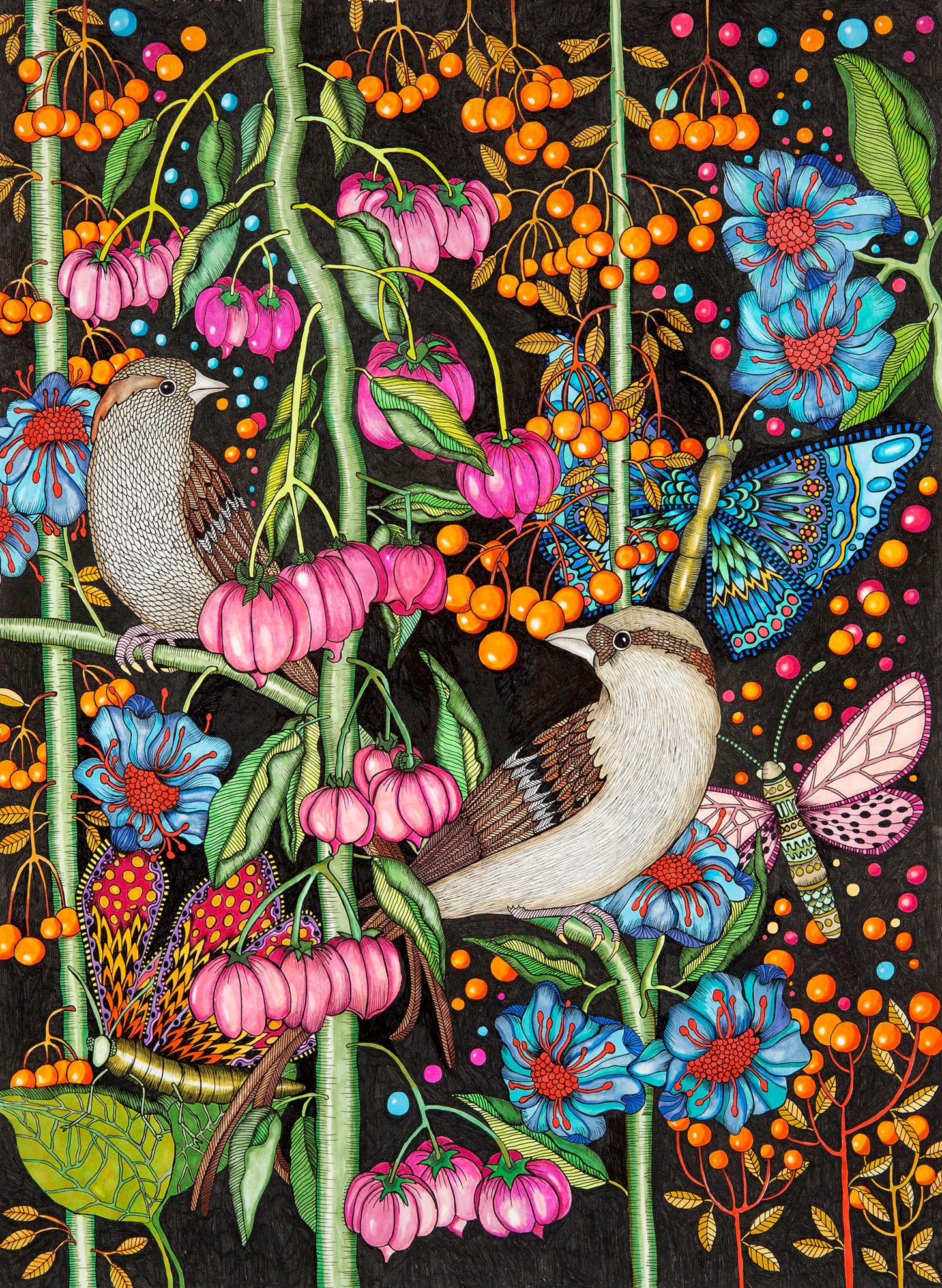 Bubblegum birds 34x47 cm