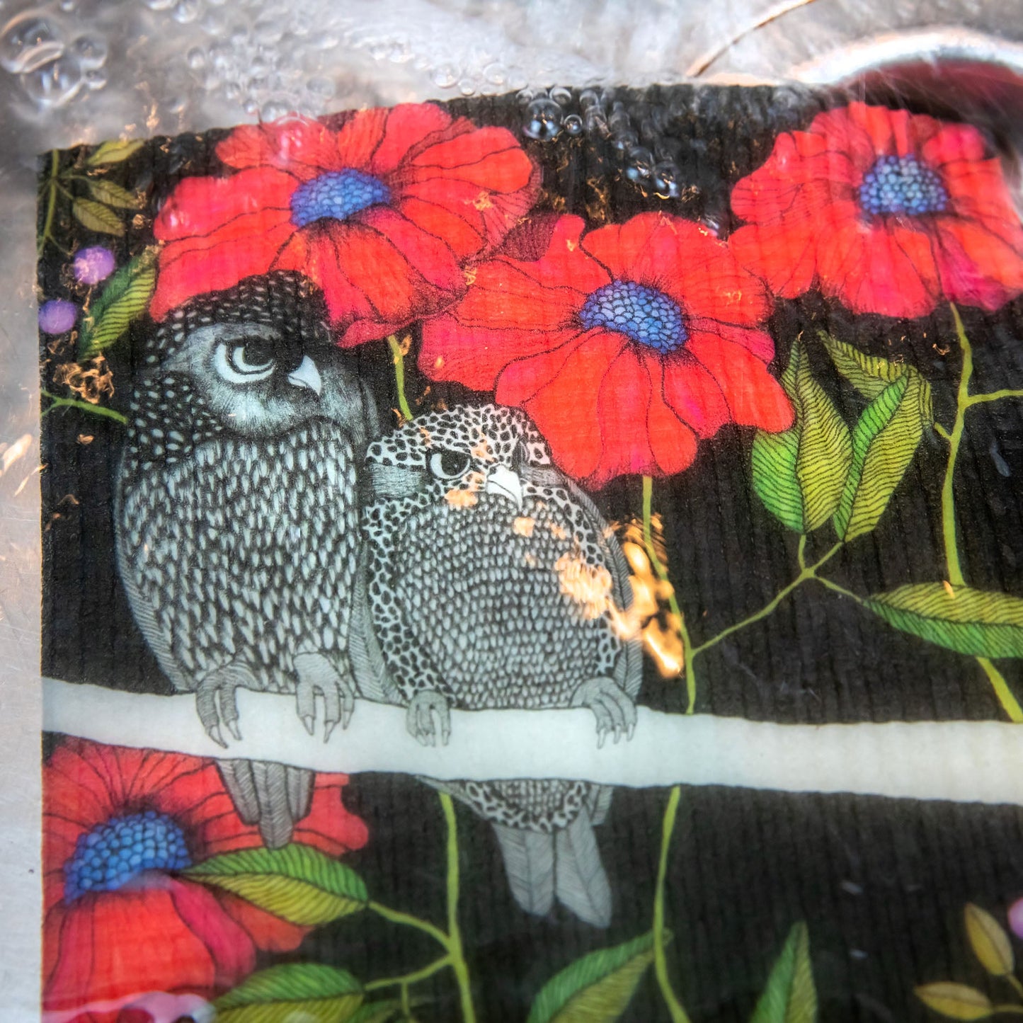 Disktrasa Arga ugglor