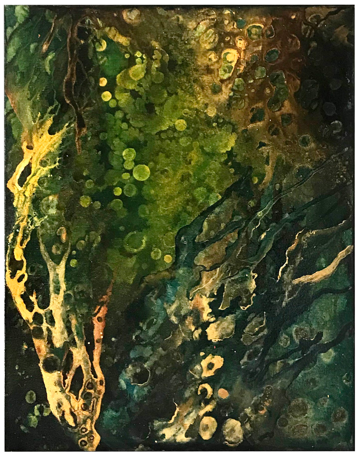 Gyllene kelp 40x50 cm