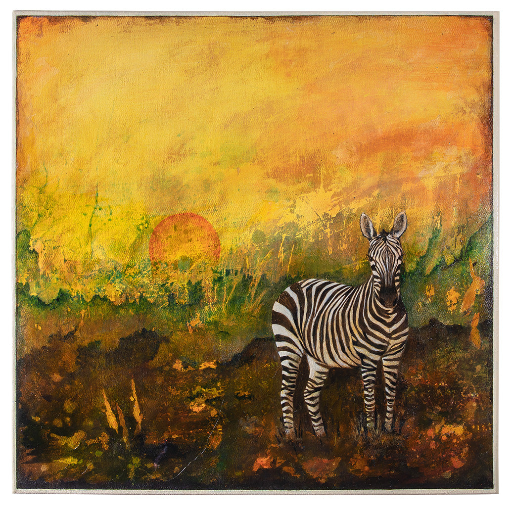 Zebra 50x50 cm