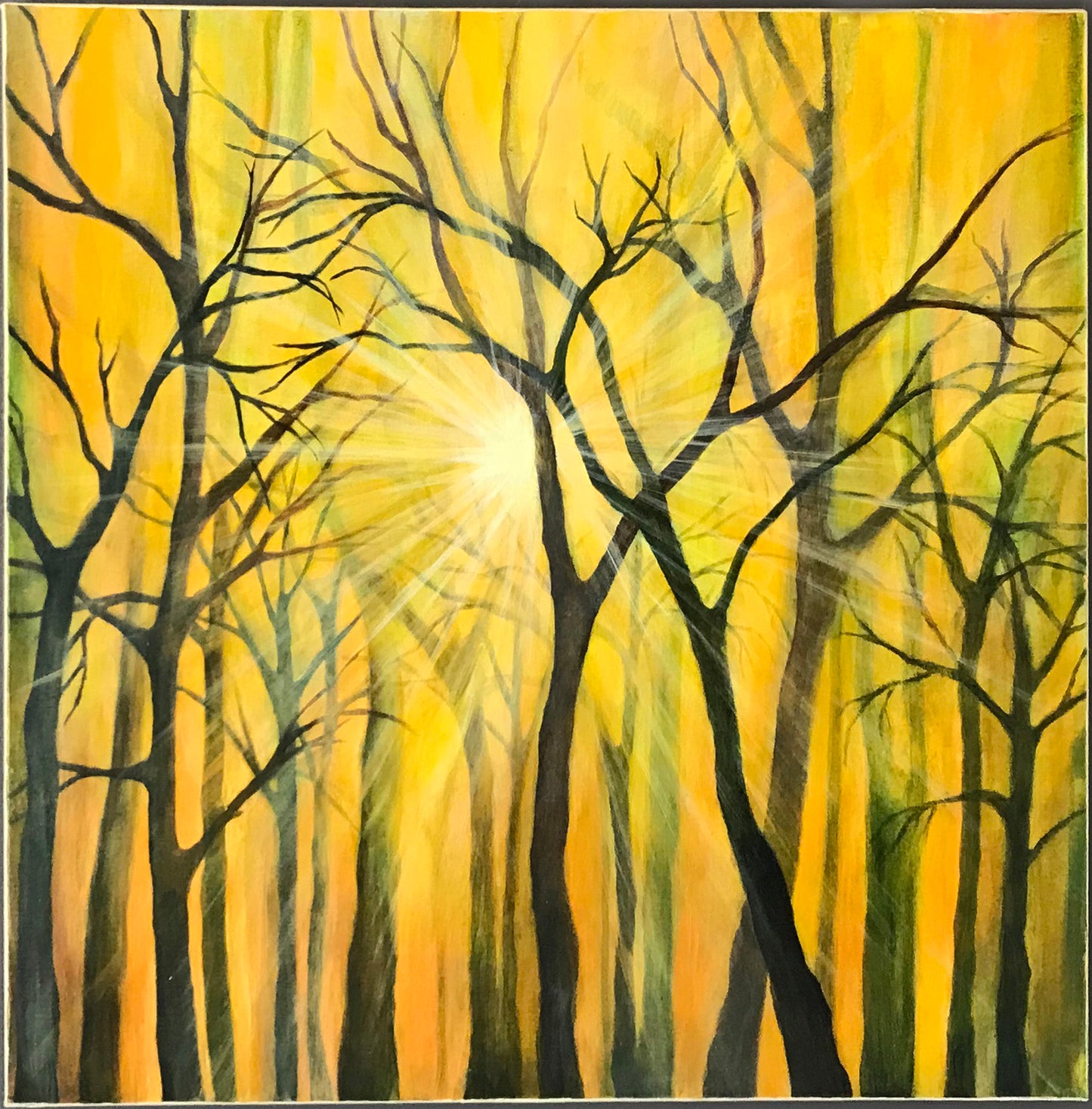 Ljus bakom träden 60x60 cm