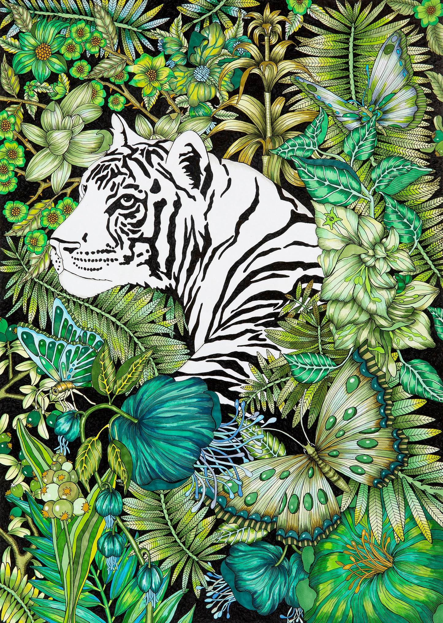 En vit tiger 42x59 cm