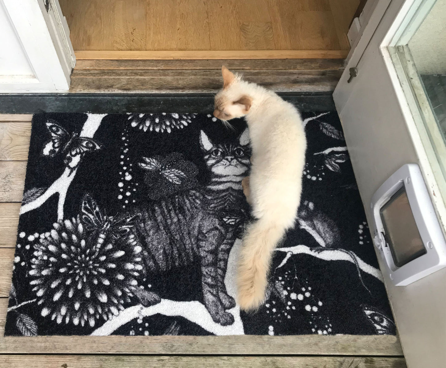 Door mat Catzy