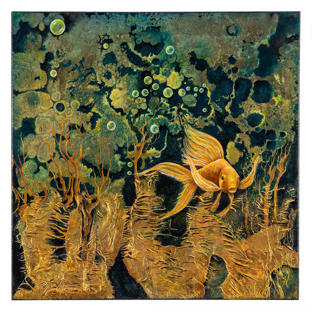 Guldfisk i kelp 50x50 cm